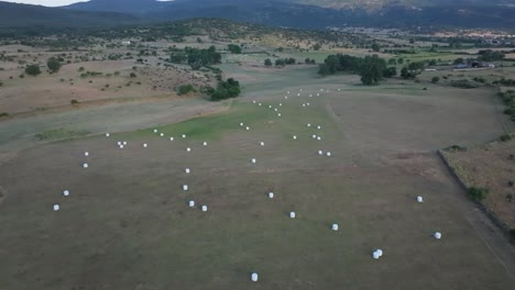 flight with a drone in some crop fields where bales of straw wrapped in white plastic have been collected and thrown away, we see some green tones in the meadows