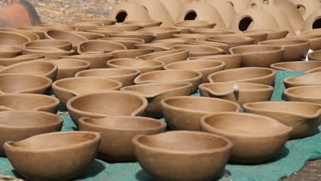 butterfly taking off from clay pots left to dry