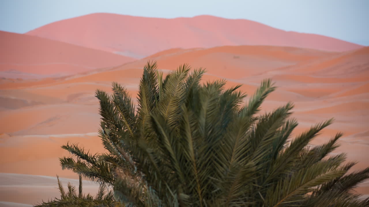 merzouga no deserto do saara, em marrocos