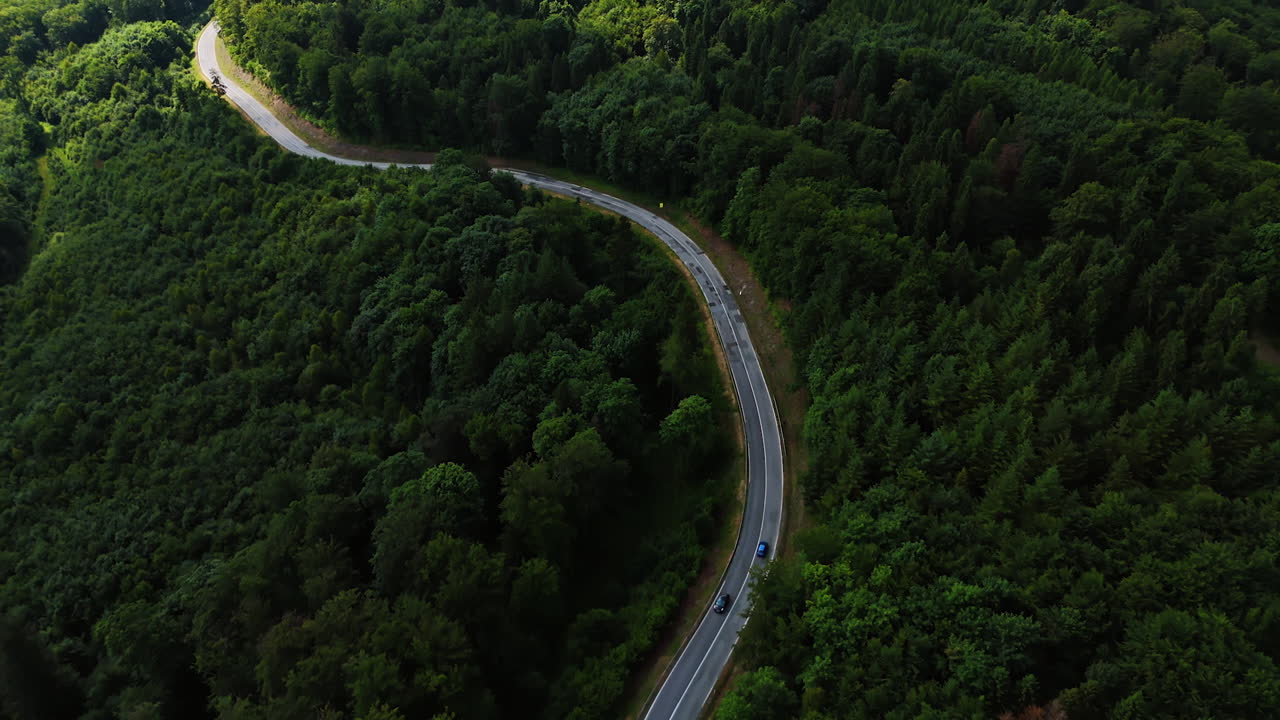 Drone view of winding road in dense green forest.. Curved road cutting through thick forested hills. Aerial view highlights the contrast of road and lush greenery