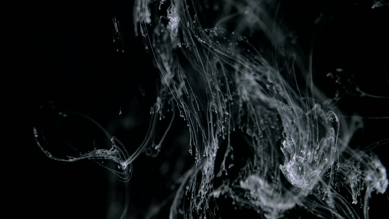 Ink Smoke Transition - Transition animation resembling ink or smoke. Black and white abstraction in the form of smoke