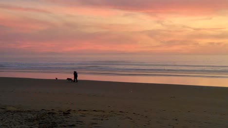 unidentified couple with dog walking on the beach sand during dusk golden sunset sunrise in playa del carmen, coastal resort town mexico