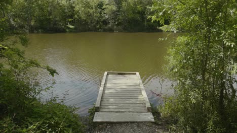 forest-hiking-trail-multiple-shots