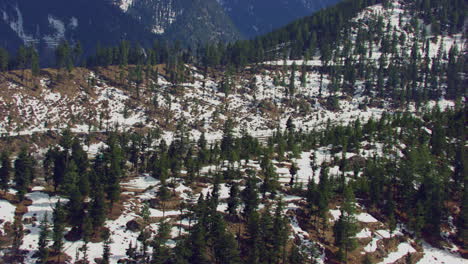 Pine-forest-at-snow-mountain-aerial-view