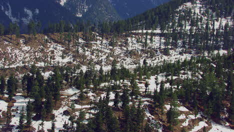bosque de pinos en la vista aérea de la montaña nevada