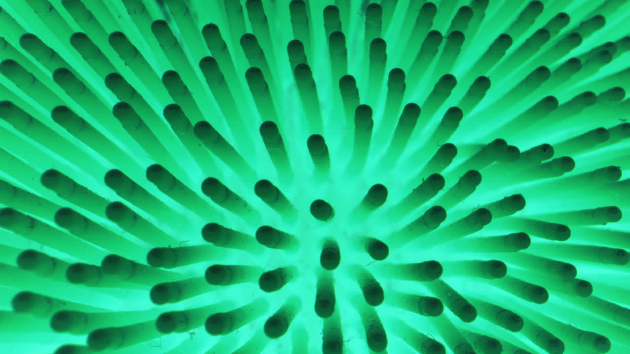 Close-up of a Neon Green Rubber Ball