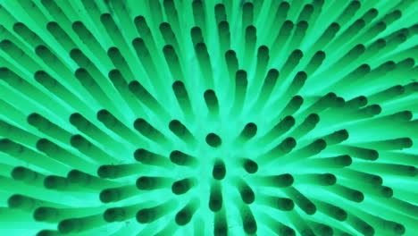 close-up of a neon green rubber ball