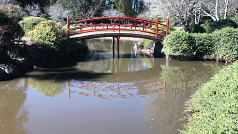 tiro inclinado al puente rojo sobre el estanque, ju raku en jardín japonés, toowoomba, australia