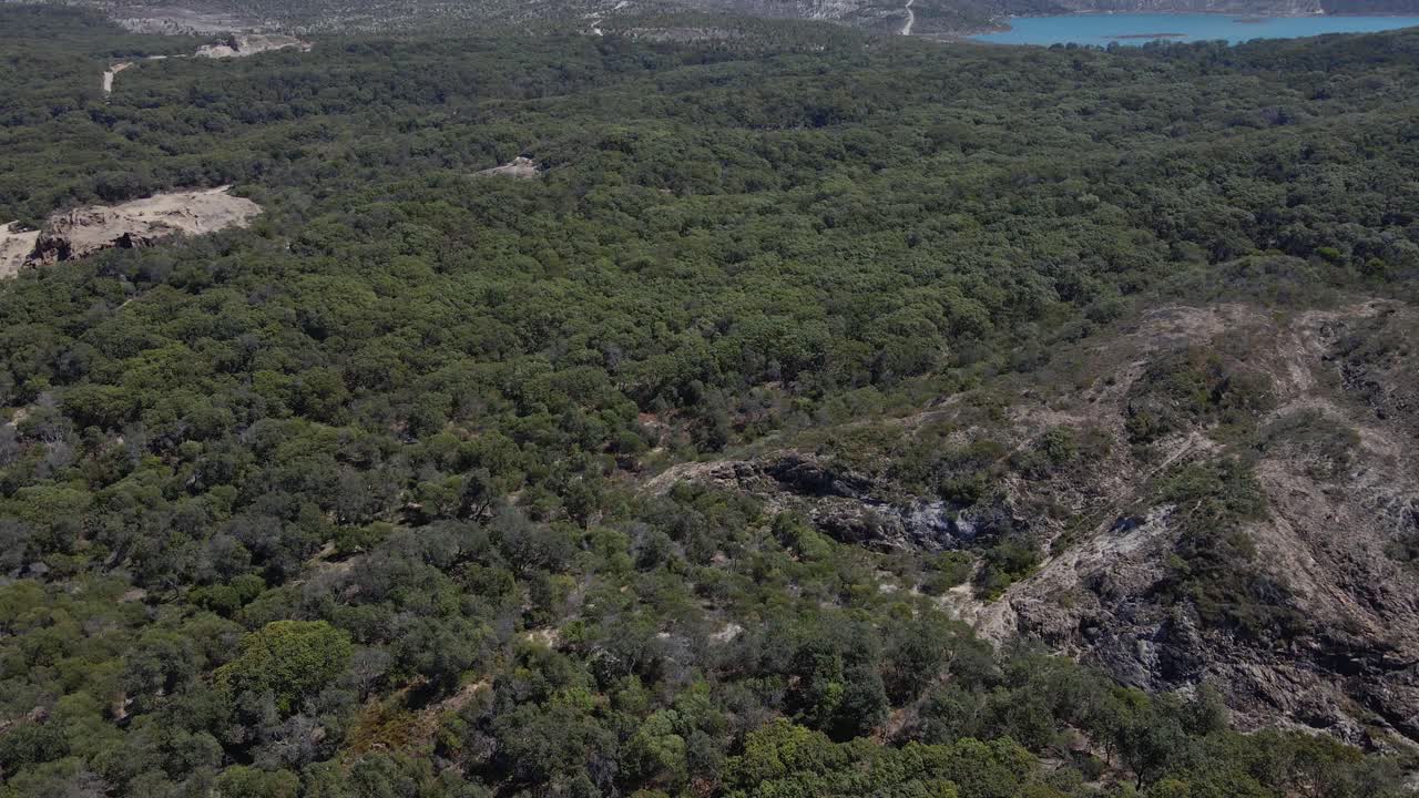 Paesaggio roccioso nella vasta foresta verde dell'Area di Conservazione George Nothling Drive nel Queensland, Australia
