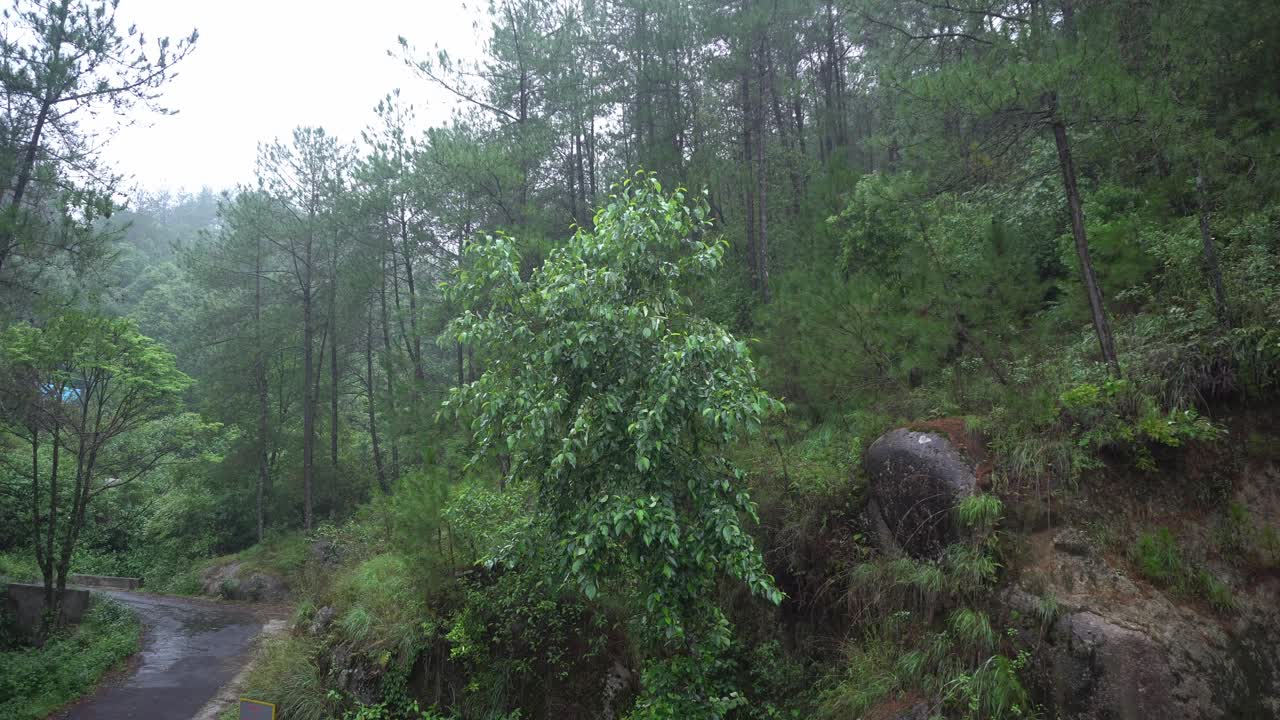 Natural beauty of meghalaya state in India