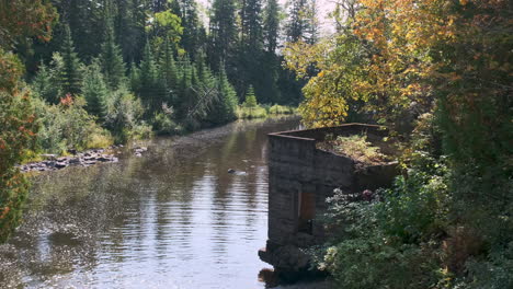 Abandon-Building-On-A-Small-Quiet-Creek