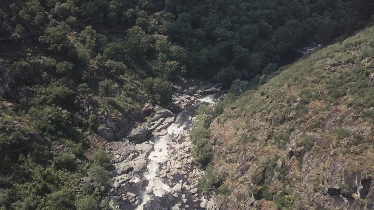 sobrevuelo aéreo río rocoso natural rodeado de montañas verdes en verano