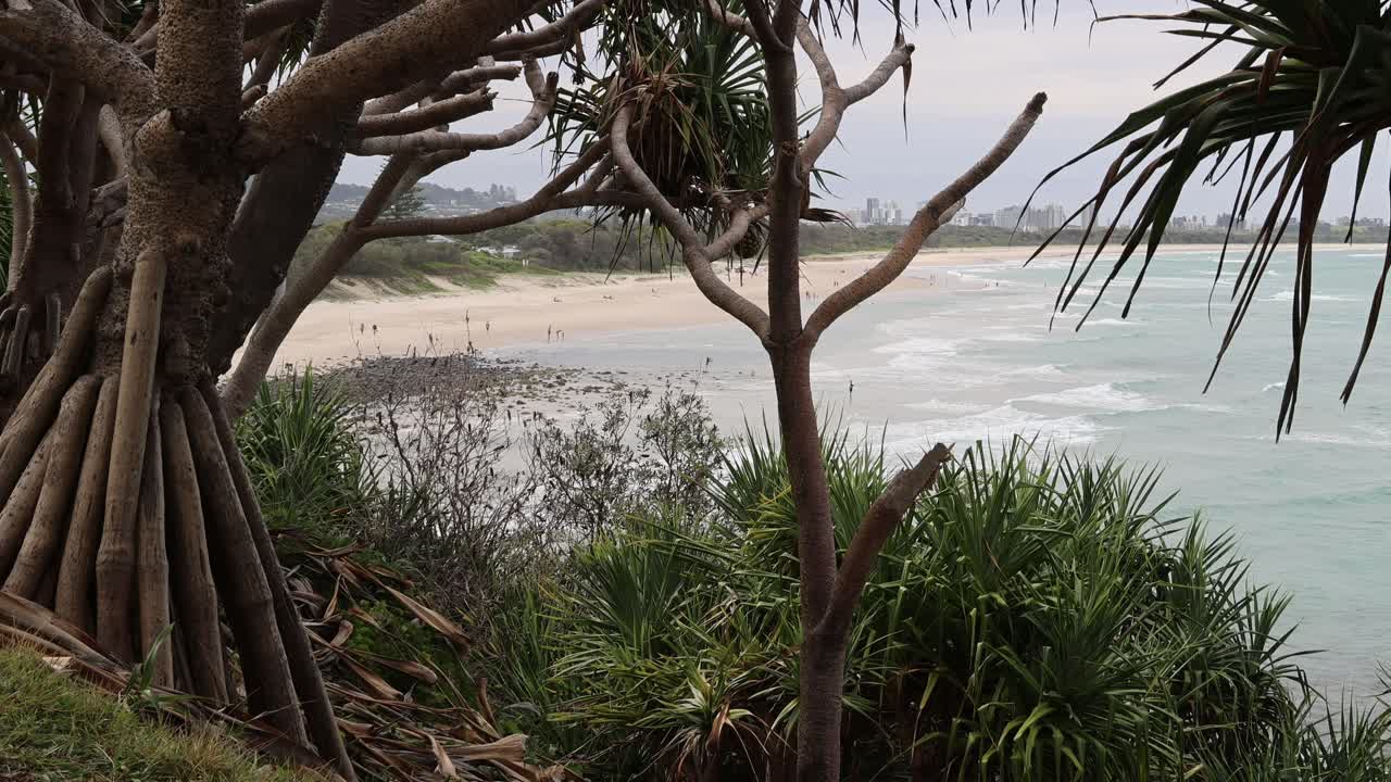 vista panorámica de una playa a través de los densos árboles tropicales