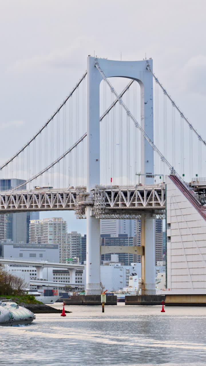 Distant view of the Rainbow Bridge and the skyline of Tokyo, Japan on a cloudy day. Vertical