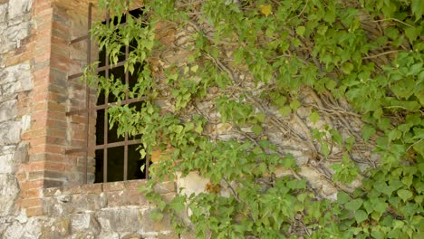 ivy-covered facade of a stone building with a rusty iron grate in the window opening