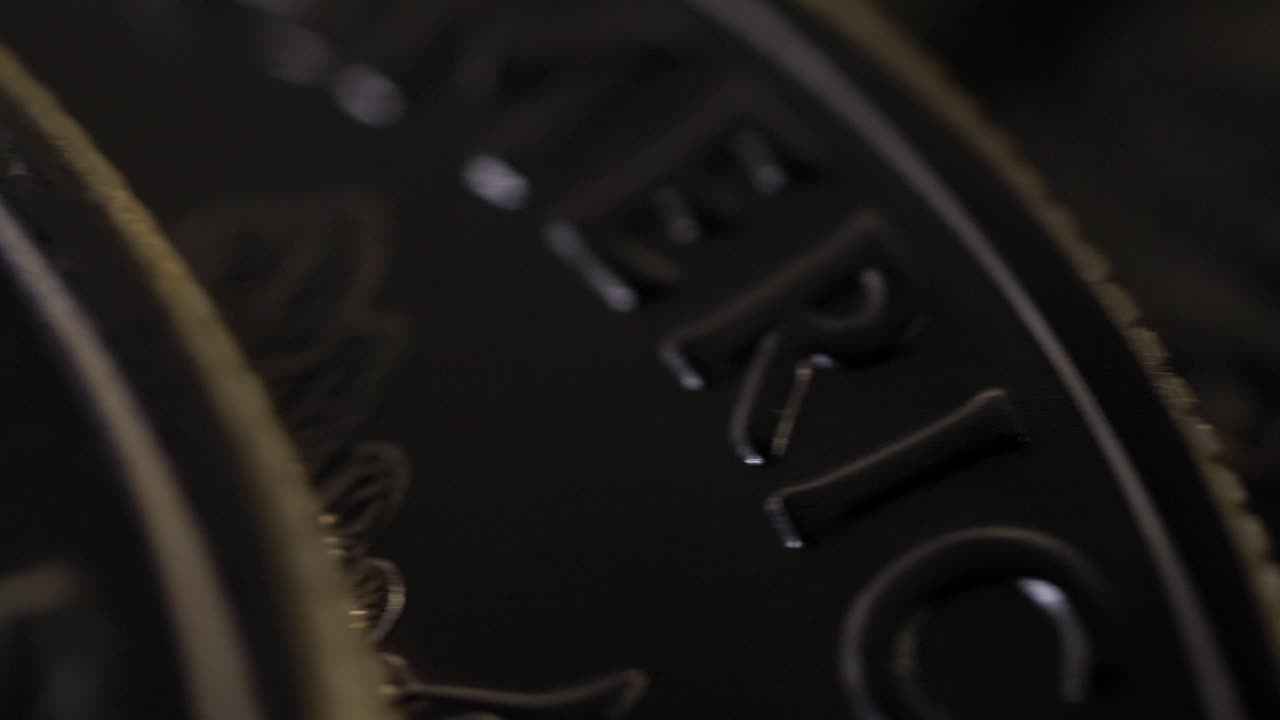 私たちの広い視野 銀貨