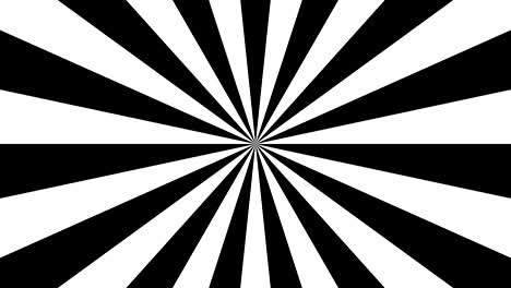 sunlight circle animation black and white