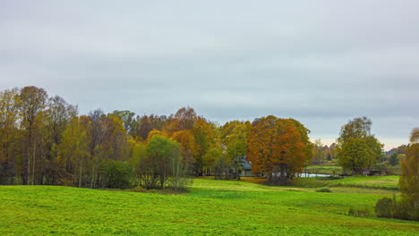 Ländliche-Natur-Mit-Wiesen-Und-Bäumen,-Die-Nach-Einem-Schneesturm-Zu-Eis-Geworden-Sind