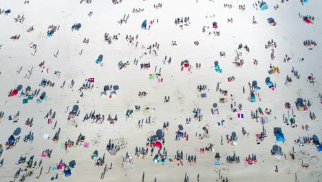 vista aérea de arriba hacia abajo de los bañistas disfrutando de un día soleado en la playa