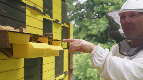 beekeeper observing hive entrance, pointing at bees on the landing board