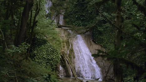 forest waterfall
