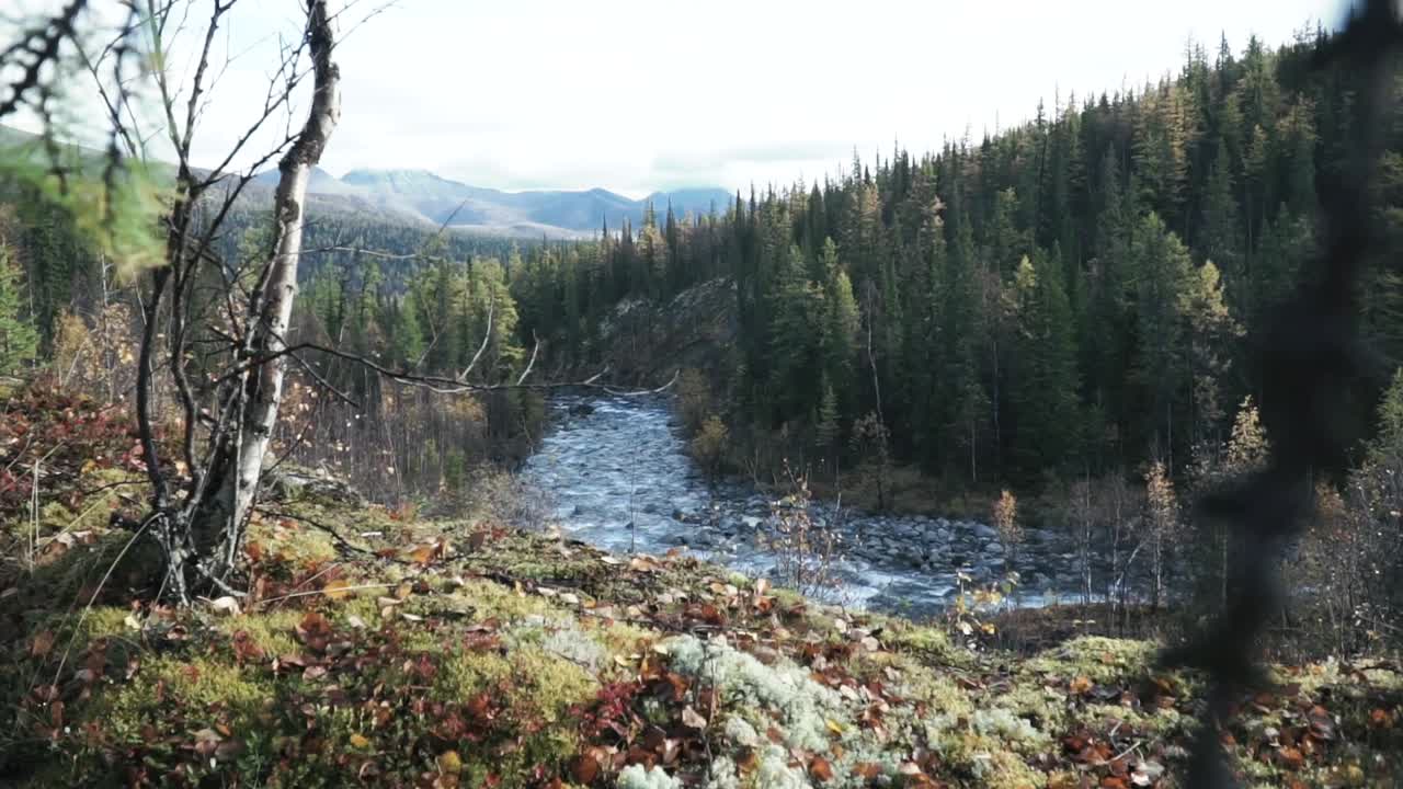 Autumn Mountain River Landscape