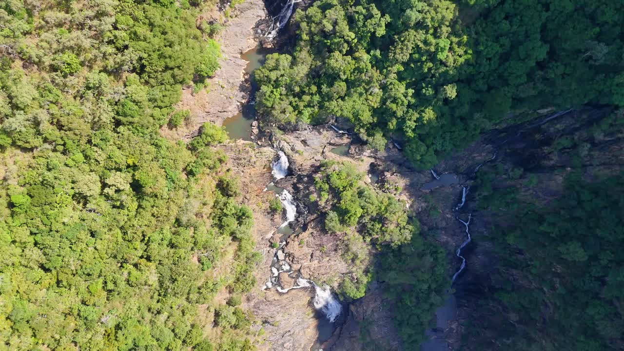 Drone footage captures a vibrant rainforest with a cascading waterfall, showcasing natural beauty from an aerial perspective