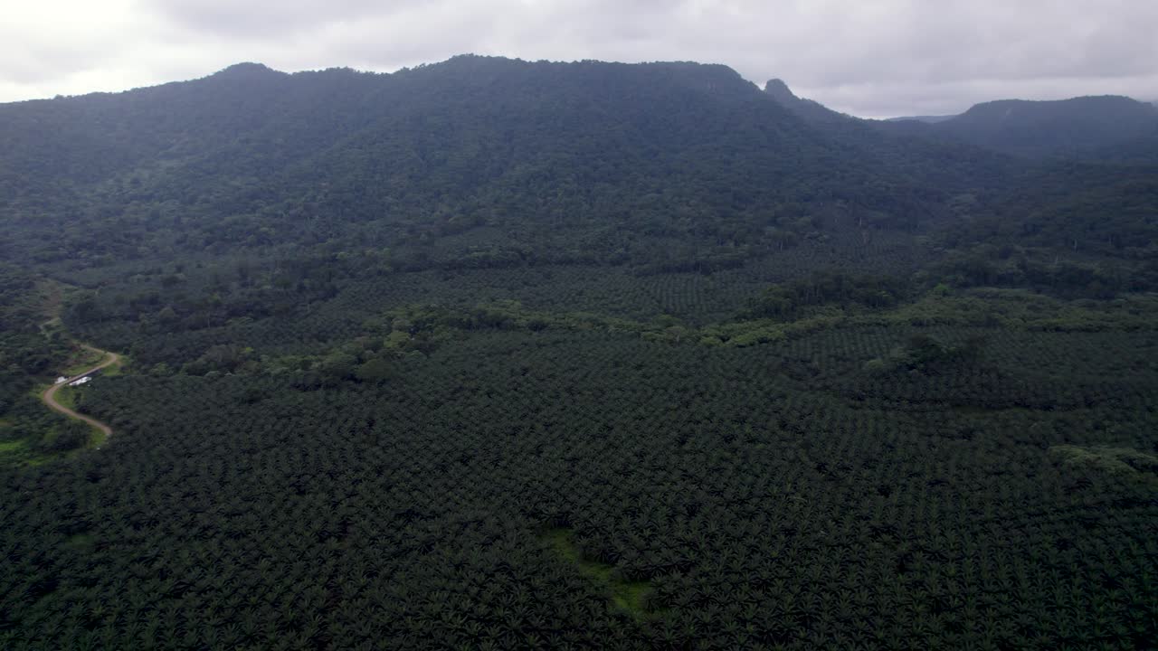 Pico Cão Grande, São Tomé — a dramatic volcanic plug rising from lush rainforest in Obô Natural Park, an iconic African landmark