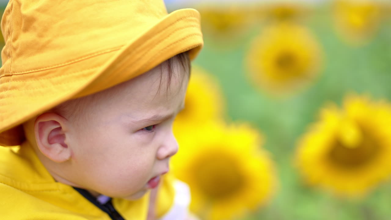 Serious focused little boy in yellow panama looking intently somewhere. Close up portrait. Big sunflowers at backdrop in blur.