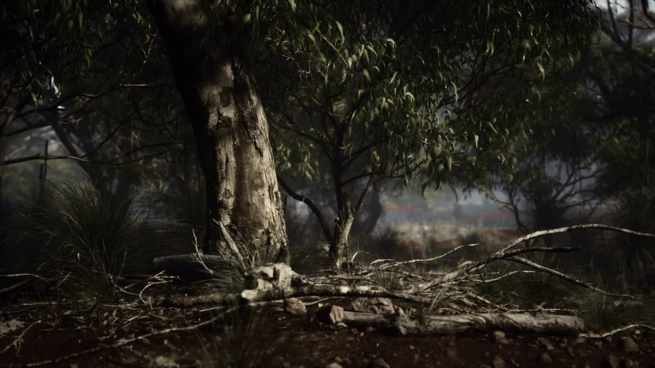 西オーストラリアのキンバーリー地域