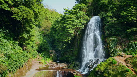 una corriente de agua vívida que cae en un exuberante bosque tropical verde. un paisaje de naturaleza pacífica.