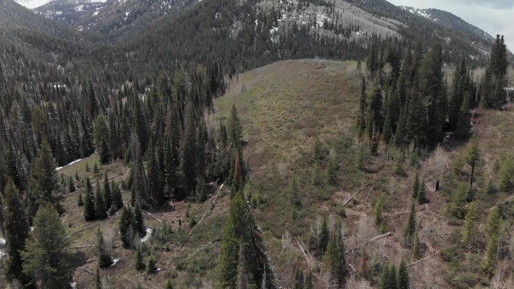 Lenta inquadratura aerea che rivela le montagne innevate nel Big Cottonwood Canyon, Utah, USA