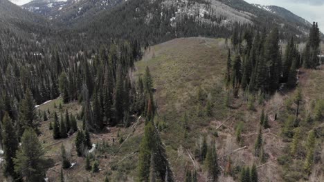 slow aerial reveal of snow covered mountains in big cottonwood canyon, utah usa