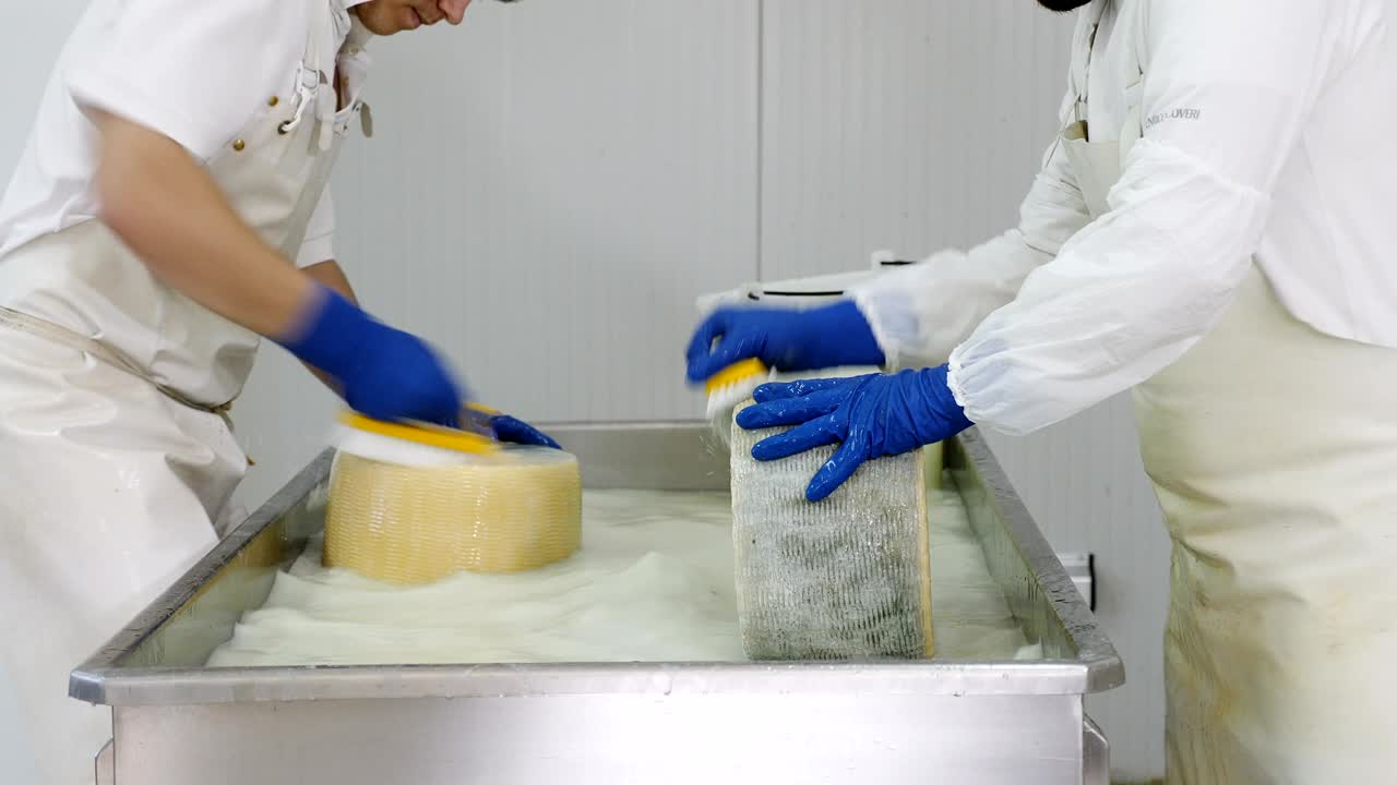 fábrica de queso de diario. lavando las formas del queso