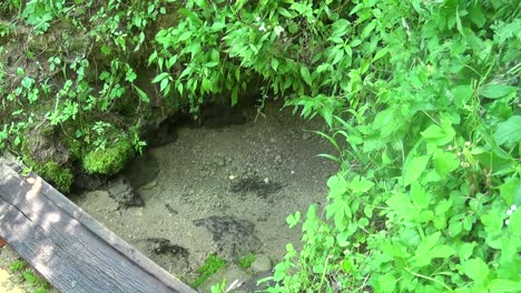 Una-Pequeña-Fuente-De-Agua-Potable-En-La-Montaña