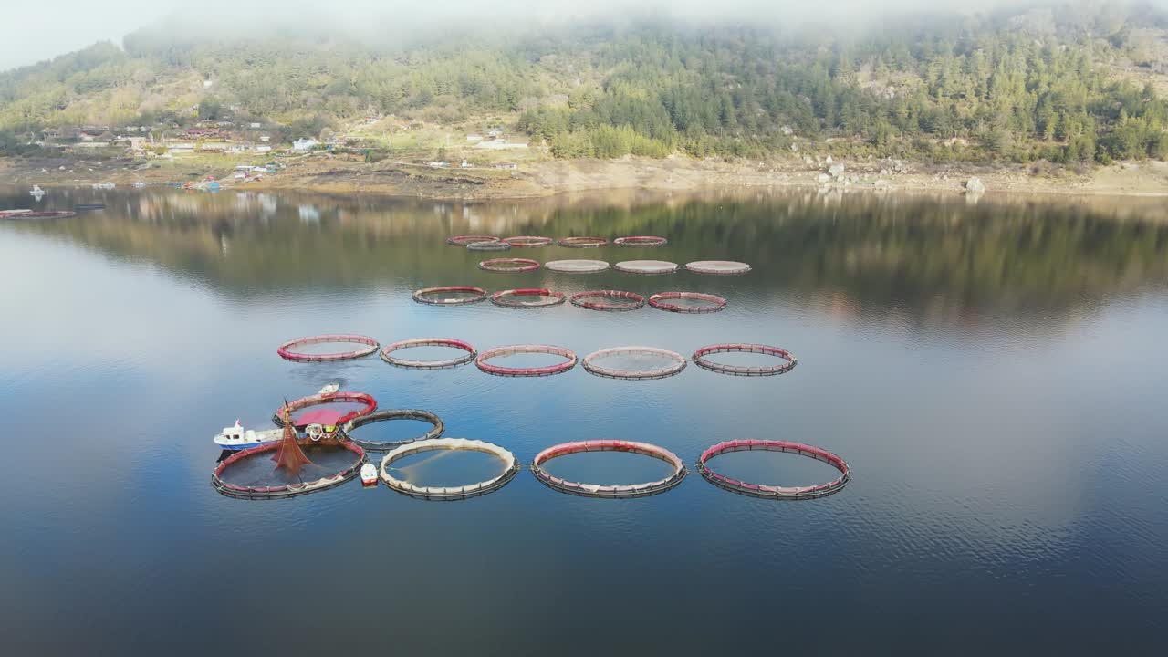 산악 호수에서 원형 케이지를 가진 생선 산업과 트로트 어류 농장