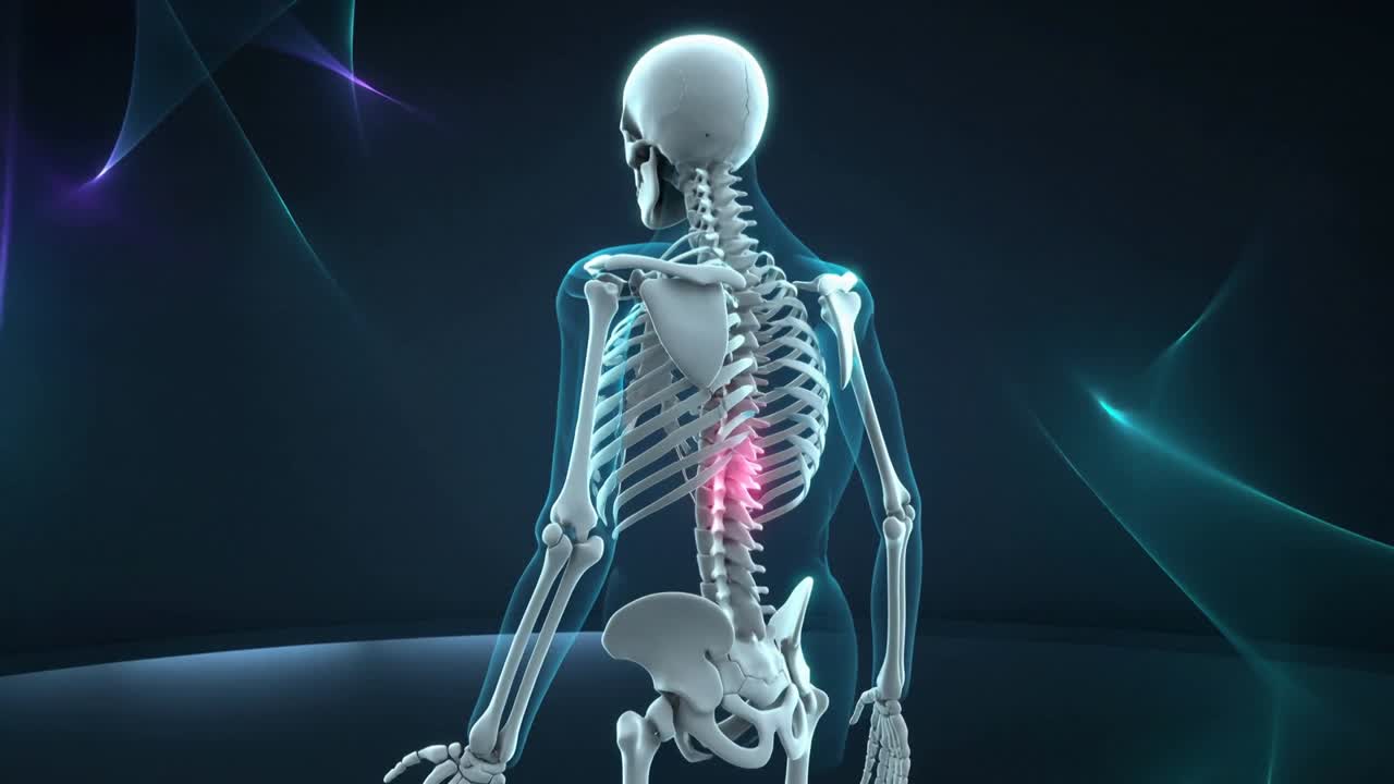 Rotating 3D skeleton revealing highlighted lower thoracic spine on base after start for education