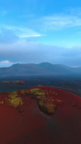 surrealistic natural landscape of iceland. purple ground with mosses in the bare field with mountains at backdrop. vertical video.