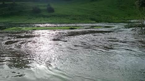slow motion saturated flooded agricultural field stream burst its banks with submerged trees after storm weather