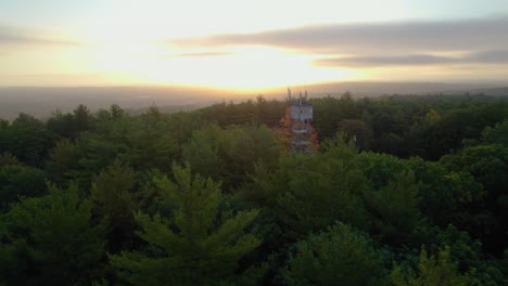 aerial of fire tower peaking through fall trees at sunrise