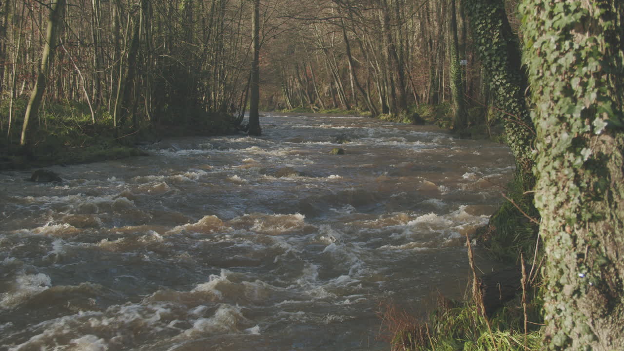 páramos del norte de york, río esk, puente egton en plena inundación, verano tardío, tiempo de otoño, cámara lenta - clip 9