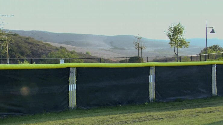 A young baseball player catches a ball as it almost goes over the back fence