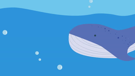 animation of whale swimming in sea