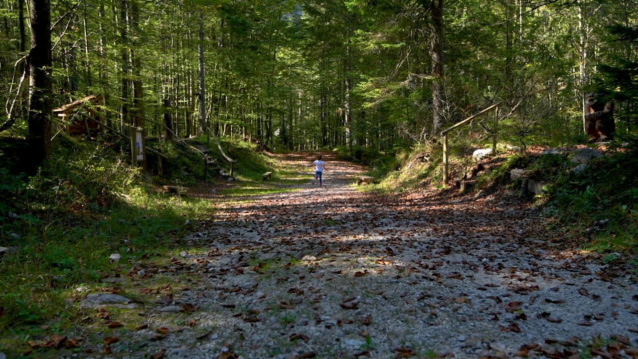Girl running in forest behind mother, playing in woods, foothpath with autumn foliage, shot from behind, facing away, 4k