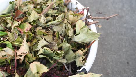 garden waste in a bucket, slide shot