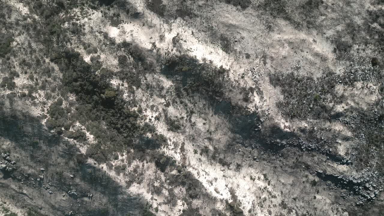 여름의 화재 계절에서 불타버린 산