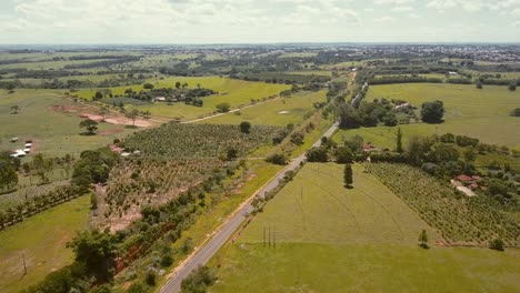 Straße-Zwischen-Großen-Grünen-Feldern-Auf-Dem-Land