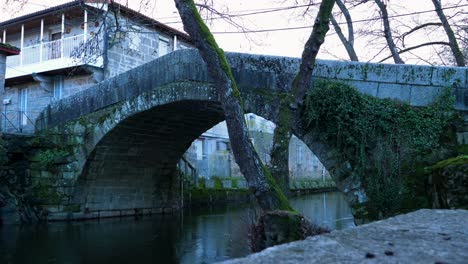 side angle static view of water flowing slow below bridge covered in ivy vines