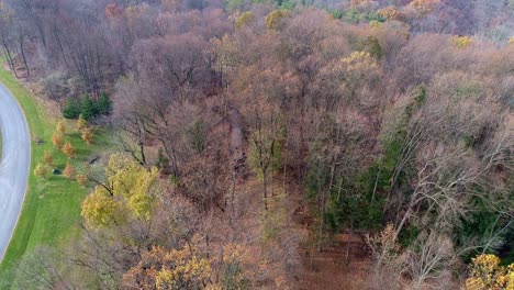 downward view of a restored antique steam engine as seen thru the trees on a winter day