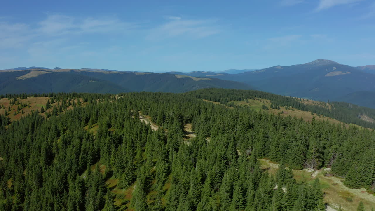 colinas forestales aéreas vista de bosques verdes encantadores contra el paisaje del cielo azul de la mañana